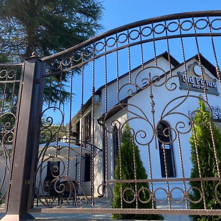 Hotel Old Pitius Pitsunda Dış mekan fotoğraf